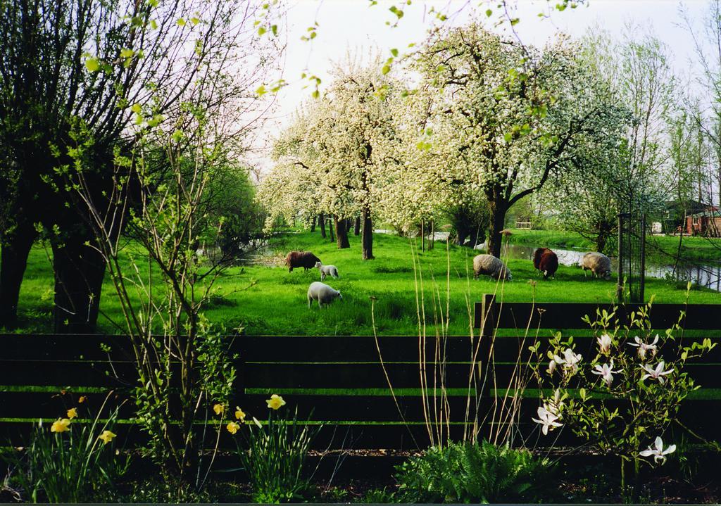 de Boomgaard Groene Hart Polsbroekerdam Buitenkant foto