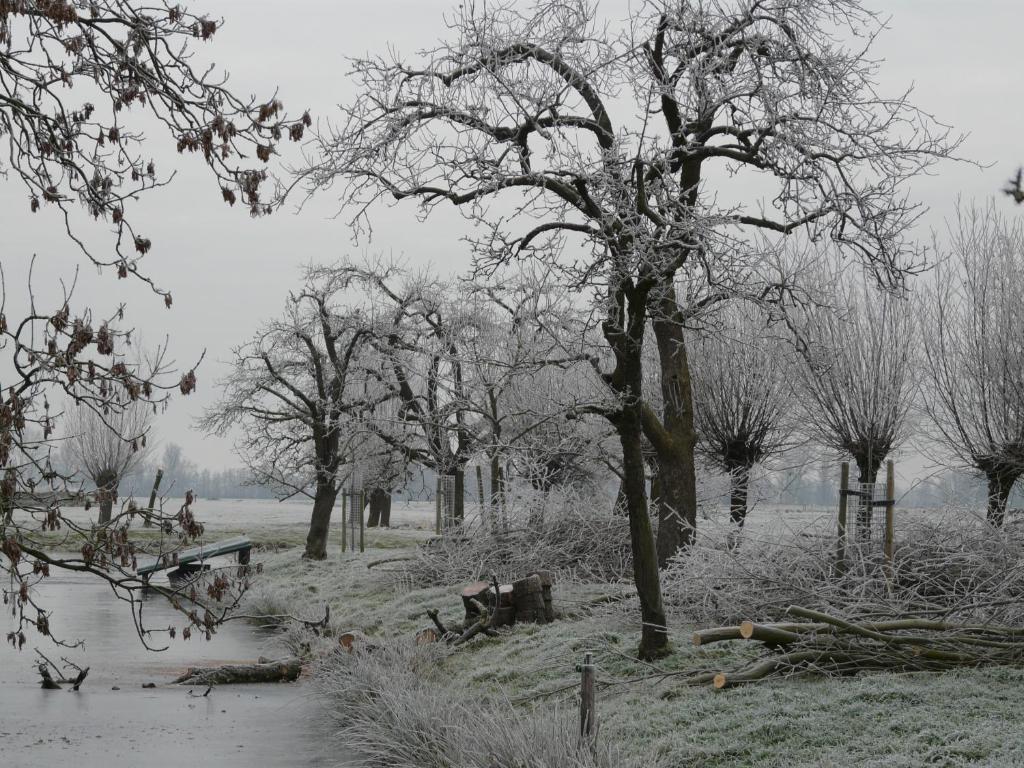 de Boomgaard Groene Hart Polsbroekerdam Buitenkant foto