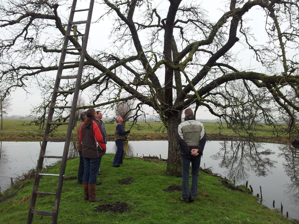 de Boomgaard Groene Hart Polsbroekerdam Buitenkant foto